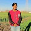 ahimansroya5911