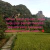 user4601076505318