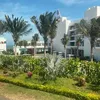 bnh.m.heo.quay25