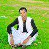 anwar sadad