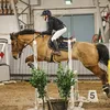 starponysimo