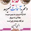 mohammadahmadi203