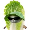 kun.nitchanon