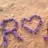 rawaa.cherif