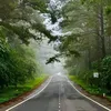 dongtruongson.82kpl