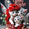 md.rakib81514
