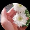 nanda.raj73