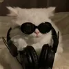 paulx_v11