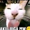 gnggeka