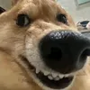 mrbrego2