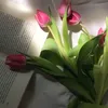 nguyenthinganha.84