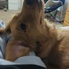 ariah_3713