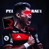 pedro.mil.grauu1