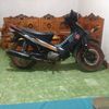 andiwijaya5366