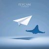 FlyCam