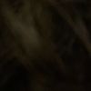 if_a9