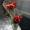 user1302126998385
