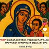 feven.berhanu