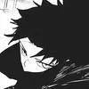 dln.brs