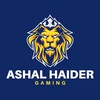 ashal.haider.gami