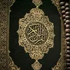 amir82389