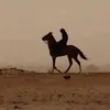 watenkml7
