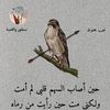 user180777357605