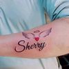 shery.hery