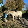 alaya_119