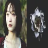 smf._vaniaa