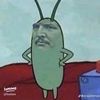 ceo_of_luigi