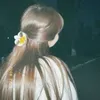 ic.diyaaa