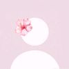 maryam.alshazle