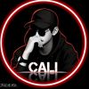 calisiaar