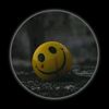 abelyared12ak
