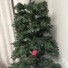 migui69_