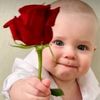 user1024186546197