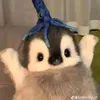 iuhoai2