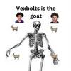 vexboltsismygoat