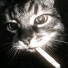 muxammed__777