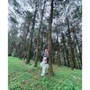 dian.moymoy
