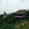 user201224097703