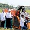 panganindonesia