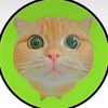 meme.cing.real