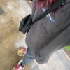 randomshi1507