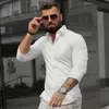 sergio.karpelli