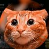 kucinggaming001