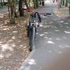 sh1t950