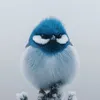 minh.nguyn.qun