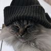 thelastcodebender5